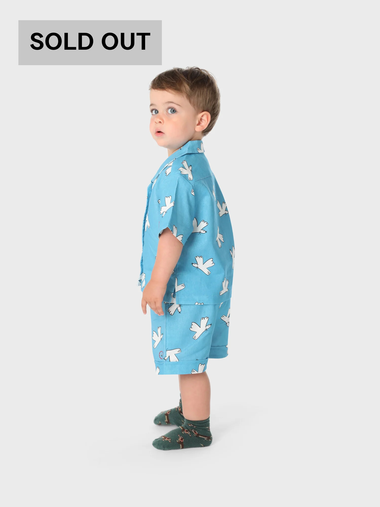 BIRDS ALL OVER LINEN BLEND CO-ORD SET